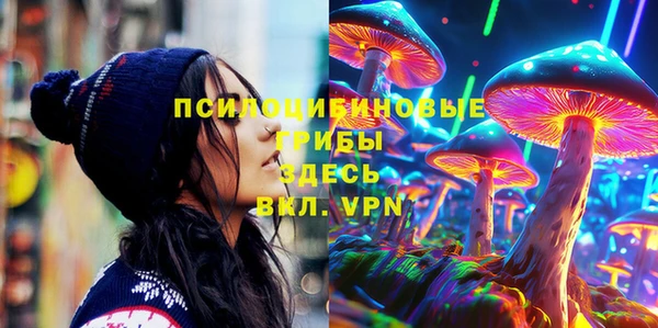 a pvp Зеленокумск
