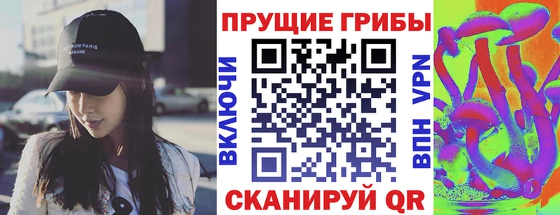 Псилоцибиновые грибы GOLDEN TEACHER  Купить закладки  Бугульма 